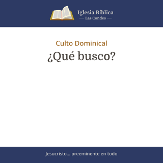 ¿Qué busco?